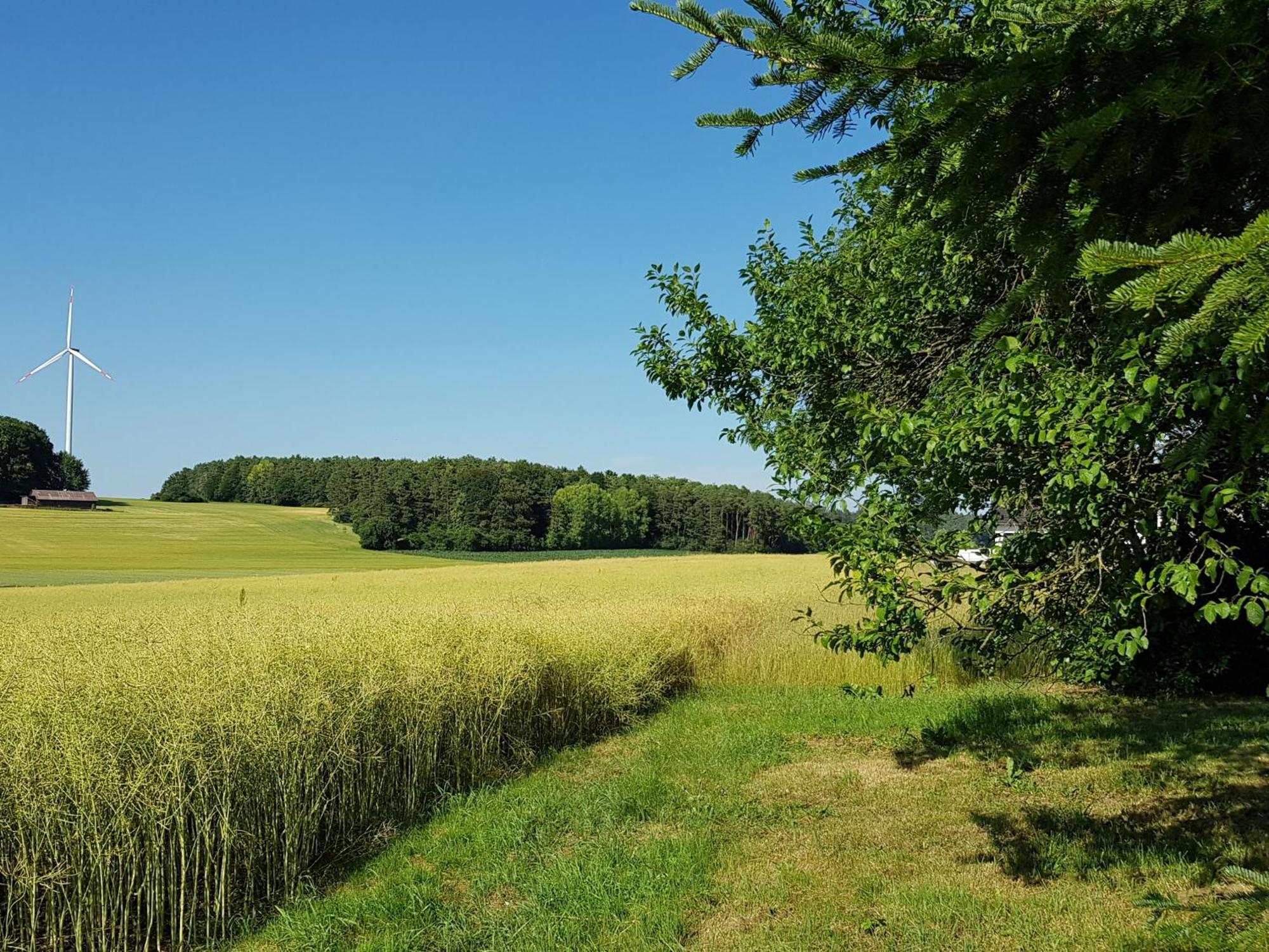 Ferienhaus Forstblick Betzenstein Exterior foto