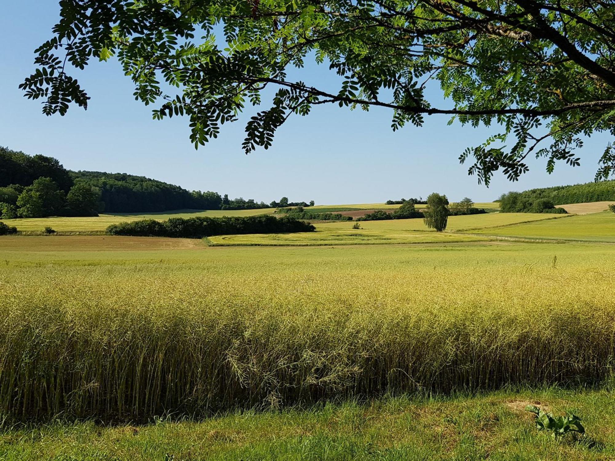 Ferienhaus Forstblick Betzenstein Exterior foto